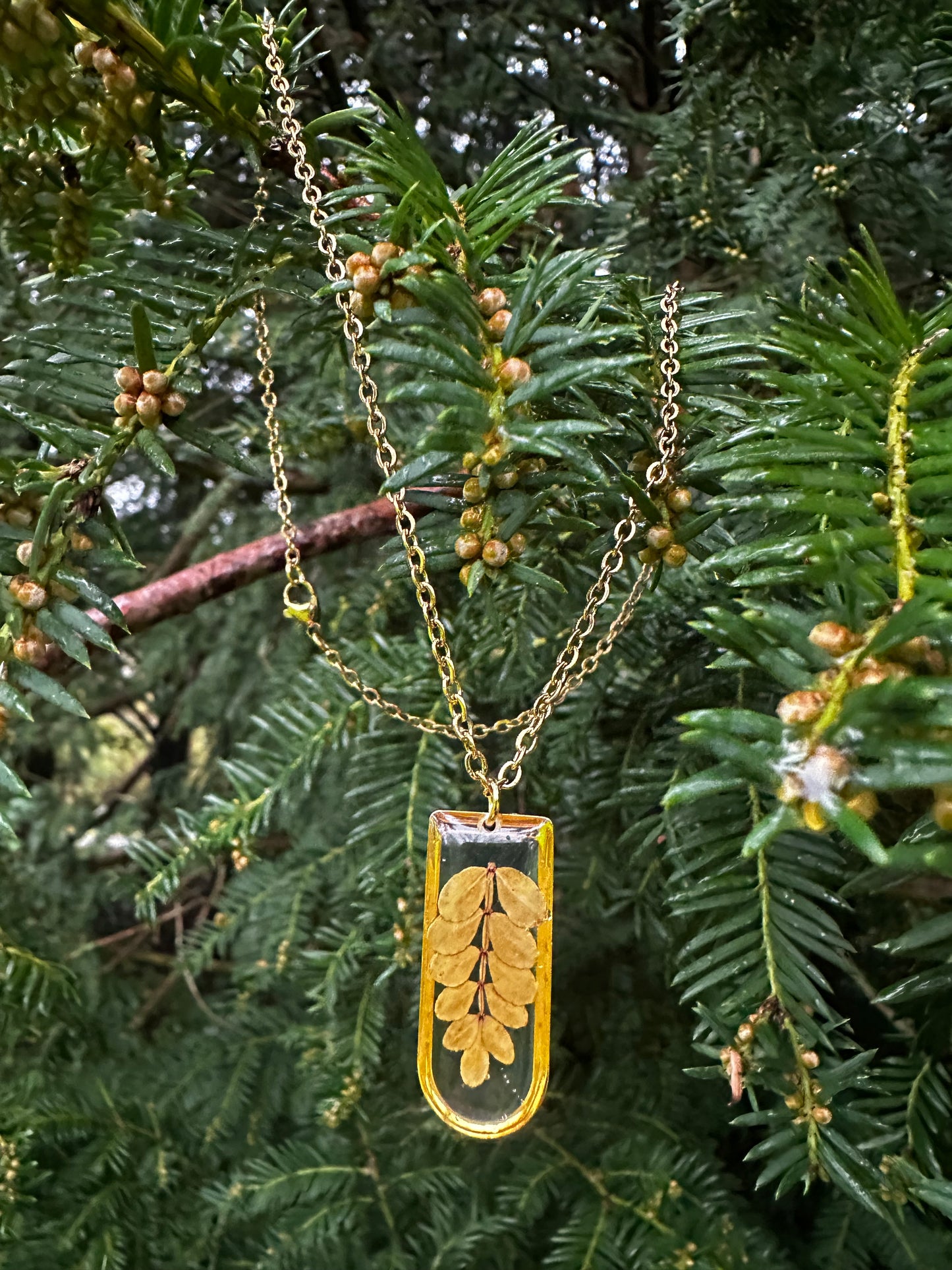 Fenn Zonnestraal Ketting